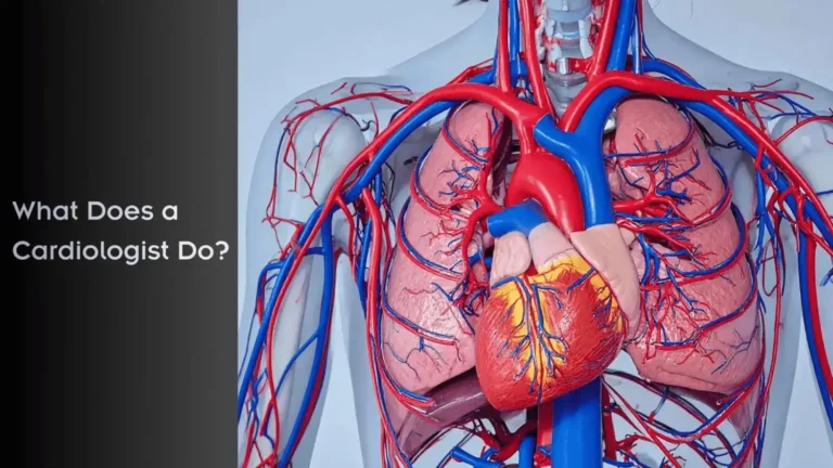 what does a cardiologist do