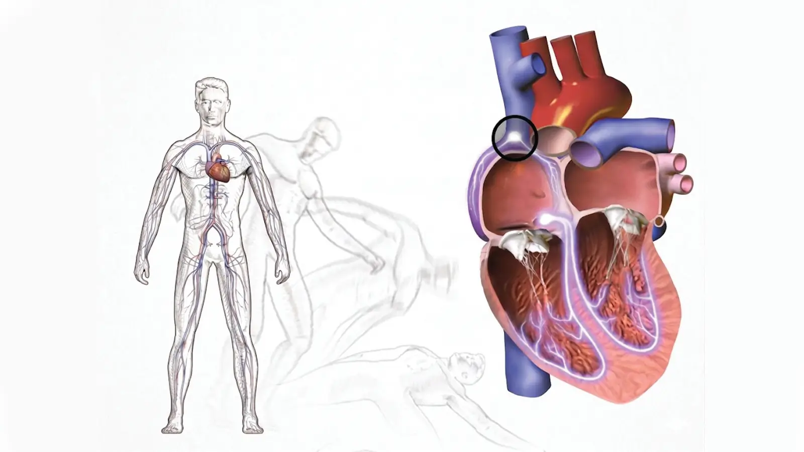 Cardiac Syncope Treatment in London